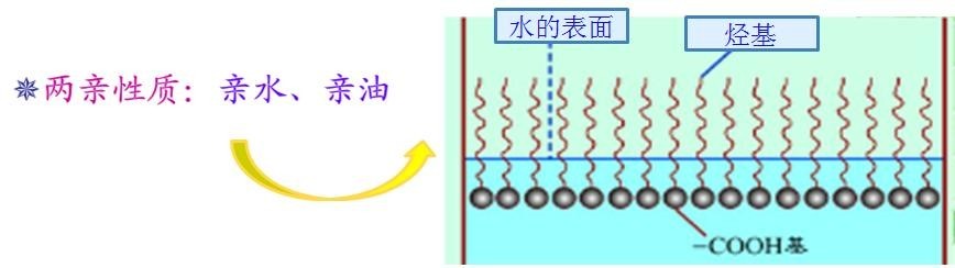 <a href='http://ubydnf.cn/product/product-0001,0011,0018.shtml' class='keys' title='點擊查看關(guān)于潤濕劑的相關(guān)信息' target='_blank'>潤濕劑</a>